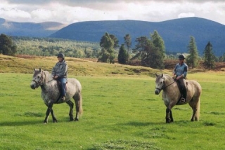  Trekking al aire libre